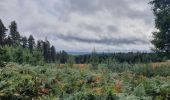 Tour Wandern Sainte-Ode - rando lavacherie 6/10/2020 - Photo 2