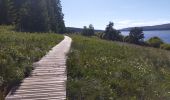 Trail Road bike Arzenc-de-Randon - lac de Charpal - Photo 2