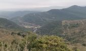 Tocht Stappen Labastide-en-Val - Labastide en val- Plateau Lacamp - Photo 1