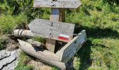 Tour Wandern Bordes-Uchentein - cabanes du Trapech et Tuc du Coucou en boucle - Photo 2