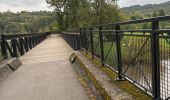 Randonnée Marche Vresse-sur-Semois - Pont de Bohan-Membre - Photo 2