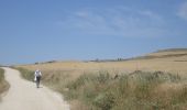 Tocht Stappen Burgos - CC_Frances_CA_13_Burgos_Hontanas_20110704 - Photo 2