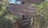 Trail Walking Coursegoules - Circuit de Vallon - Photo 2