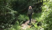 Trail Walking Schorbach - 2022-05-15-Schorbach et le circuit des cascades - Photo 6