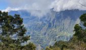 Tour Wandern Saint-Louis - Tapage - Piton Cabris - La Fenêtre  - Photo 3