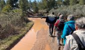 Tour Wandern Aureille - PF-Aureille - La Vallongue d'Aureille - MDu - Photo 1