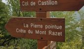 Tour Wandern Castillon - pierres pointues  - Photo 8