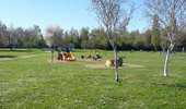 Tour Wandern Sotteville-sous-le-Val - 20260407-sotteville sous le val cool - Photo 2