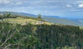 Tour Wandern Xonrupt-Longemer - Jardin d’altitude du haut Chita let - Trois fours - Photo 1
