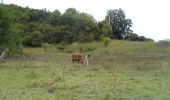 Tocht Stappen Montmain - 20220915-Montmain  - Photo 12