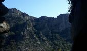 Trail Walking Colombières-sur-Orb - Gorges de Colombières 26 10 2019 - Photo 20