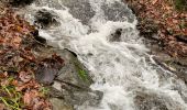 Trail Walking La Roche-en-Ardenne - Chèque - Photo 10