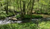 Tocht Stappen Gedinne -  Vallée De la Hulle Bourseigne la neuve - Photo 14