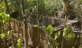 Excursión Marcha nórdica La Trinité - Usine du Galion - les étangs - mangrove  Woz  - Photo 2