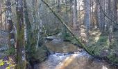 Tour Wandern Tendon - cascade  - Photo 5