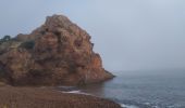 Randonnée Marche Théoule-sur-Mer - Ballade à la Pointe de l'Aiguille - Photo 11