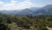 Tour Wandern La Chaudière - Le mont faraud - Photo 6