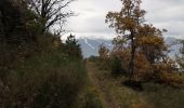 Excursión Marcha nórdica Arbaz - Anzère  - Photo 1