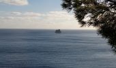 Tocht Stappen La Seyne-sur-Mer - Forêt de Janas rando 9 02 - Photo 1