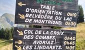 Tour Wandern Morzine - 74-Avoriaz-cretes-belvedere-10km-360 - Photo 9