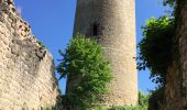 Tour Wandern Winzenheim - wintzenheim et les châteaux - Photo 4
