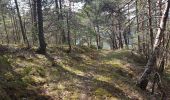 Trail Walking Furmeyer - Mias - Manche - Gorce - Jamone - Photo 14