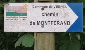 Trail Walking Verfeil - 2 juillet - Photo 1