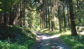 Trail On foot Attendorn - Rundweg Repetal - Photo 3