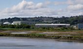 Randonnée A pied The Municipal District of East Cork - Youghal Foxhole Loop walk - Photo 9