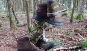 Trail Walking Stosswihr - gaschney-grotte Dagobert - Photo 1