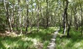 Trail Walking Spa - grand tour de la fagne de malchamps - Photo 5