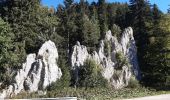 Trail Walking Les Alliés - GTJ jour 7 - Photo 1