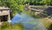 Randonnée Marche Les Plantiers - les plantiers, abbaye de Fontfouillouse  - Photo 1