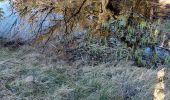 Trail Walking Montjoyer - Montjoyer-Chapelle St Pierre 9km. - Photo 5