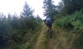 Percorso Mountainbike Couvin - pesche a chimay - Photo 4