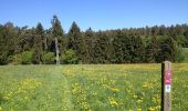 Tour Zu Fuß Naumburg - Naumburg, Rundweg 2 - Photo 2