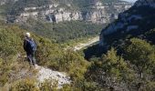 Percorso Marcia Cabrières - mandre gorges du gardon mandre - Photo 9