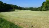 Tocht Stappen Chaumont-Gistoux - #200330 - Gistoux, Inchebroux, Champ des Goffes*** - Photo 7