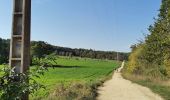 Trail Walking Saint-Germain-en-Laye - GRP CV-IDF 2023 - Photo 5