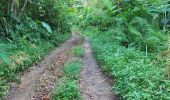 Trail Walking L'Ajoupa-Bouillon - Gorges de la Falaise - 1er Refuge Pele - Photo 5