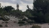 Tocht Stappen Leucate - Leucate La Franquie par la falaise  - Photo 5