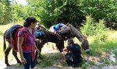 Tour Wandern Vassieux-en-Vercors - Vassieux en Vercors- La Chapelle en Vercors- Rando Âne (2 et 3 ème jour) -  - Photo 4