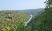 Tour Wandern Florenville - Les Epioux 200824 - Photo 16