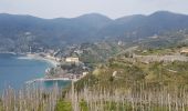 Percorso Marcia Vernazza - RA 2019 Cinque Terre Vernazza Monterosso - Photo 5