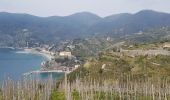 Randonnée Marche Vernazza - RA 2019 Cinque Terre Vernazza Monterosso - Photo 5