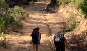 Trail Walking Grosseto-Prugna - Mar A Mar sixième jour - Photo 3
