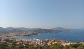 Excursión Senderismo Banyuls-sur-Mer - cap del troc . coll de gran bau . cap réderis . retour par le chemin du littoral  - Photo 14