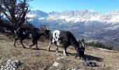 Tocht Stappen Miribel-Lanchâtre - Les crêtes de la Ferrière en circuit - Photo 6