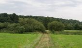 Tour Zu Fuß Steinheim - Rundwanderweg A4 bei Steinheim - Photo 1