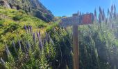 Excursión Senderismo Curral das Freiras - Pico do Areeiro - Photo 11